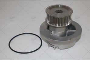 WATER PUMP + TIMING BELT KIT