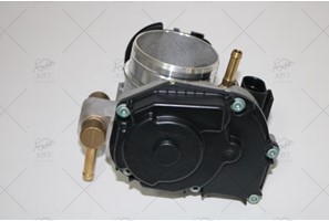 THROTTLE BODY