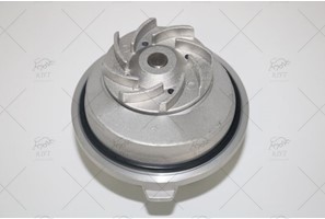 WATER PUMP + TIMING BELT KIT