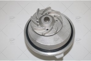 WATER PUMP + TIMING BELT KIT