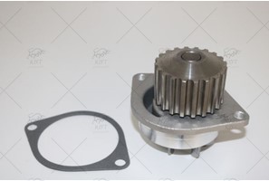 WP302 DEVIRDAIM 307 1.6 16V