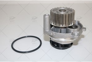 WATER PUMP + TIMING BELT KIT
