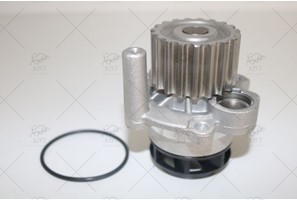WATER PUMP + TIMING BELT KIT