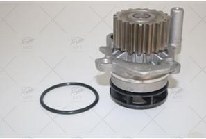 WATER PUMP + TIMING BELT KIT