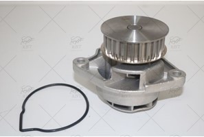 WATER PUMP + TIMING BELT KIT