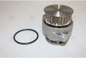 WATER PUMP + TIMING BELT KIT