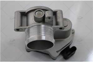 THROTTLE BODY