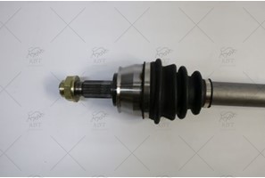 AKS SAG ON BIPPER NEMO FIORINA