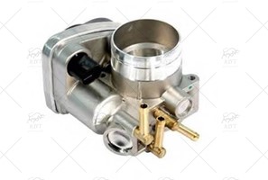 THROTTLE BODY