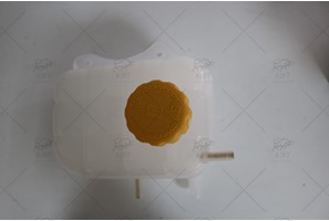 RADIATOR RESERVOIR