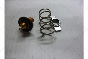 V248489 TERMOSTAT ICI K9K KANGOO