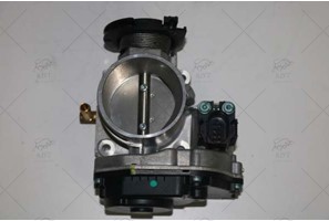 THROTTLE BODY