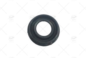 INJECTOR SEAL