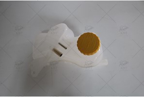 RADIATOR RESERVOIR